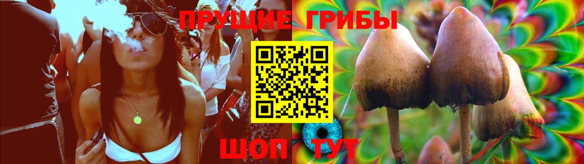 Галлюциногенные грибы GOLDEN TEACHER  Вход с VPN  Прохладный 